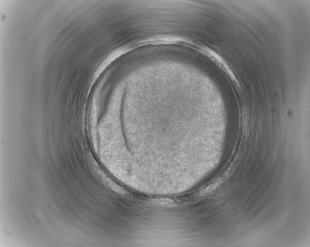 X0000085261186200704092106