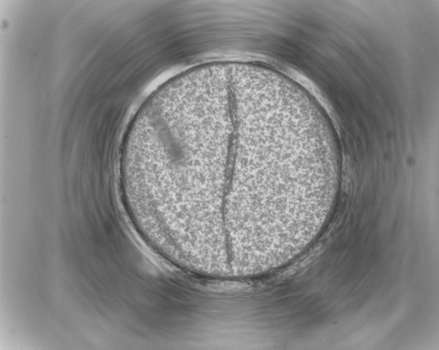 X0000085261187200704092106