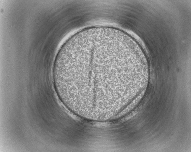 X0000085261191200704092106