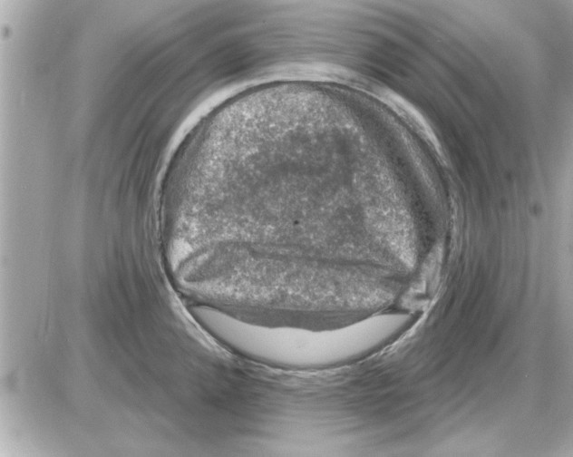 X0000085261192200704092106