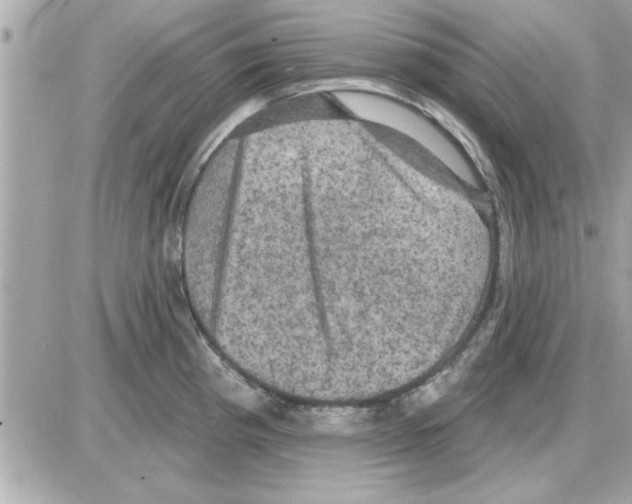 X0000085261193200704092106