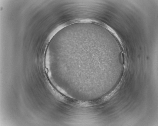 X0000085261194200704092106