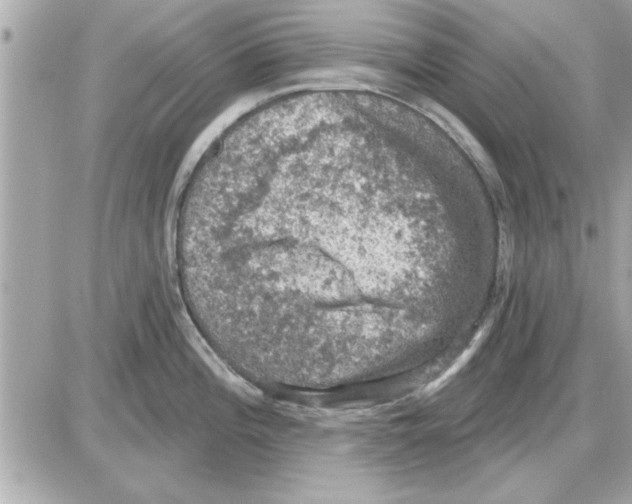 X0000085261196200704092106