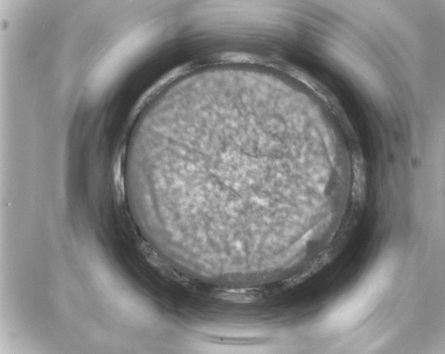 X0000085261198200704092106