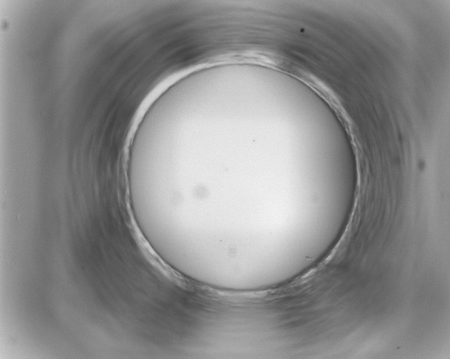 X0000085261200200704092106