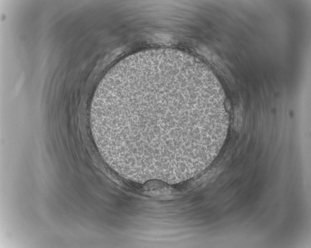 X0000085261201200704092105