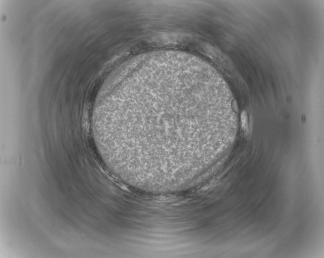 X0000085261203200704092105