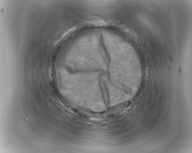 X0000085261205200704092105