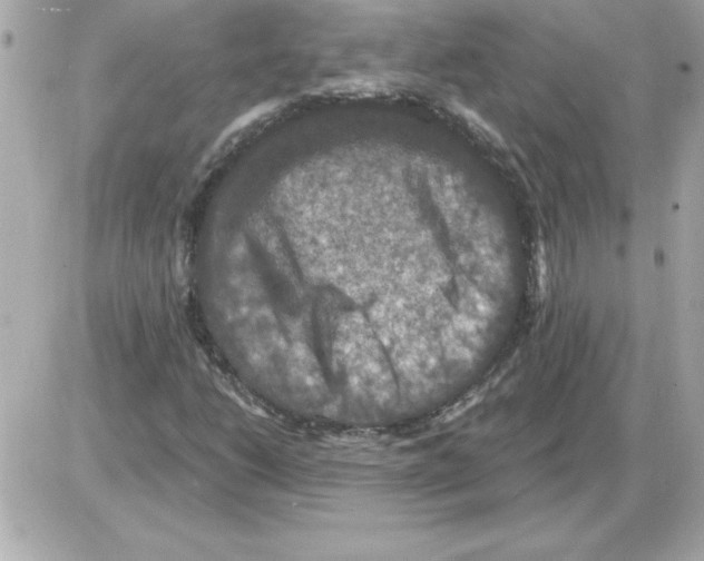 X0000085261206200704092105