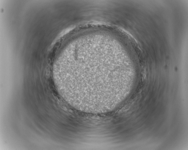 X0000085261207200704092105