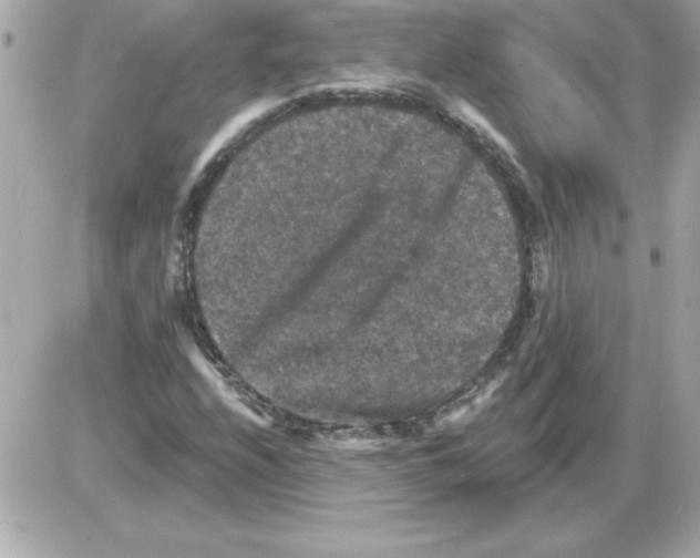 X0000085261208200704092106