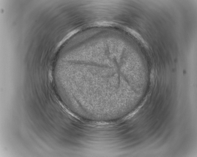 X0000085261209200704092106