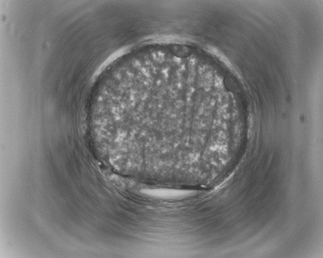 X0000085261213200704092106