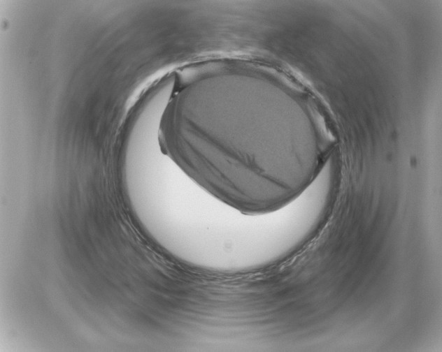 X0000085261214200704092106