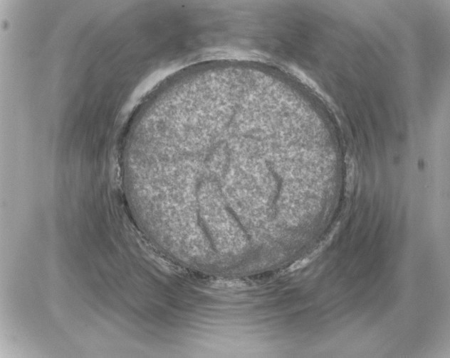 X0000085261215200704092106