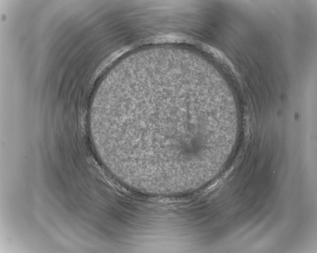 X0000085261217200704092106