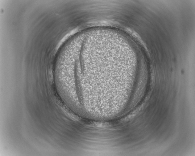 X0000085261218200704092106