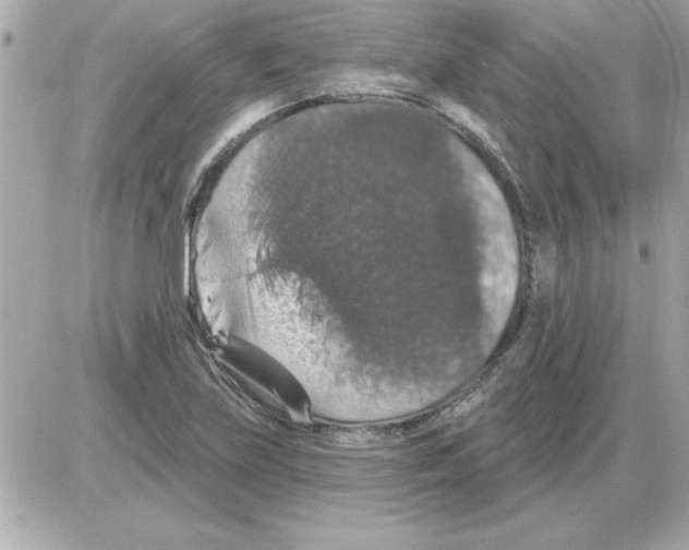 X0000085261219200704092106