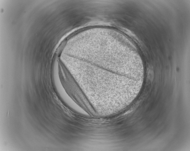 X0000085261220200704092106