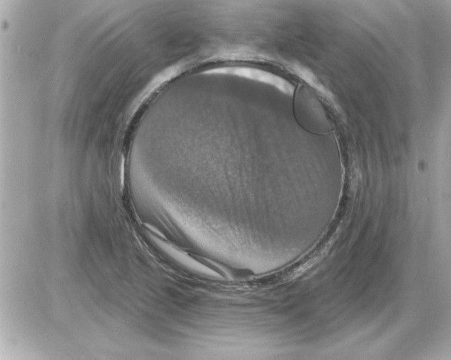 X0000085261221200704092106