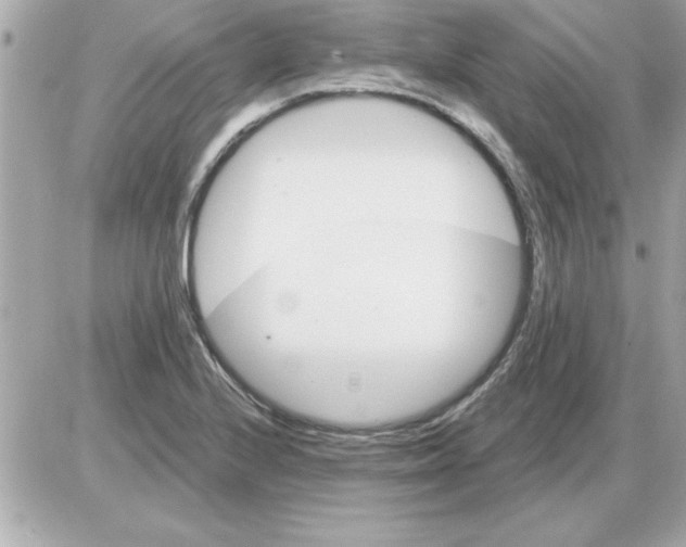 X0000085261224200704092106