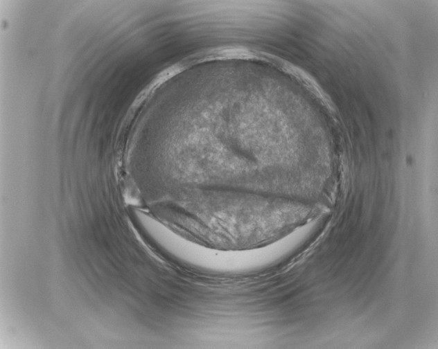 X0000085261225200704092106