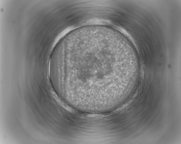 X0000085261227200704092106