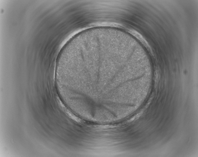 X0000085261228200704092106