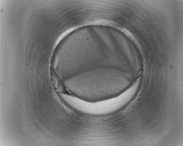 X0000085261230200704092106