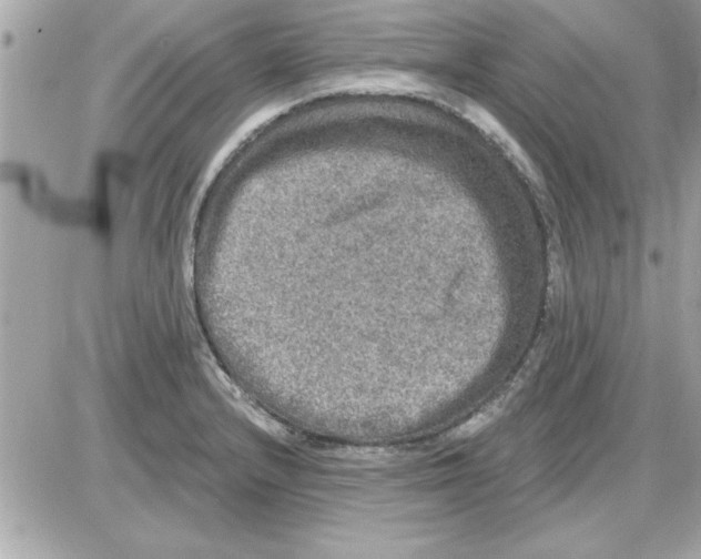 X0000085261232200704092106