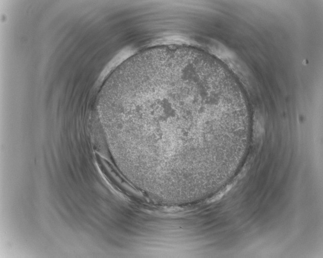 X0000085261233200704092106