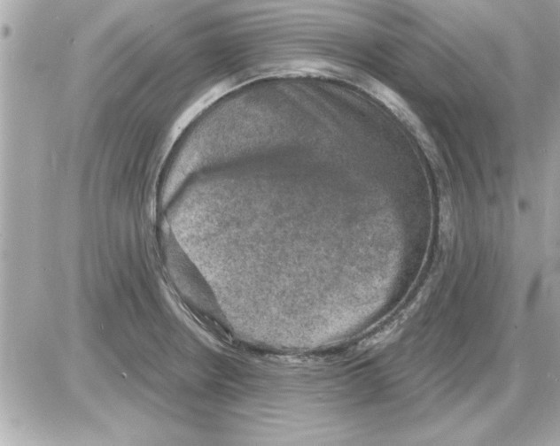 X0000085261234200704092106