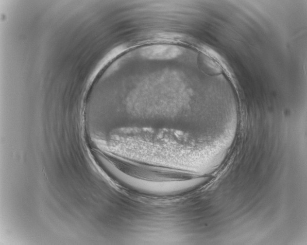 X0000085261235200704092106