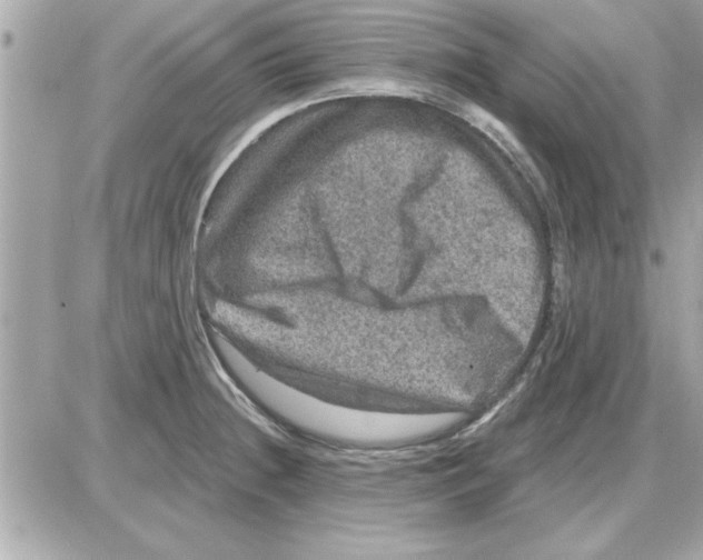 X0000085261236200704092106