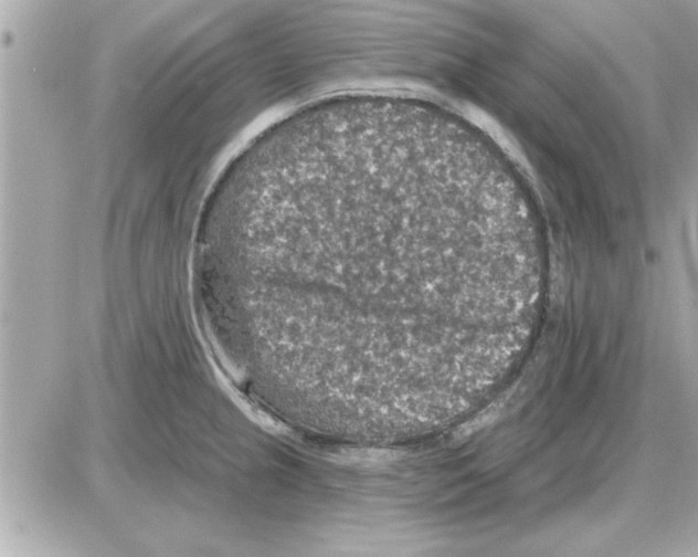 X0000085261237200704092106