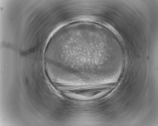 X0000085261240200704092106