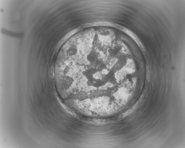 X0000085261241200704092106