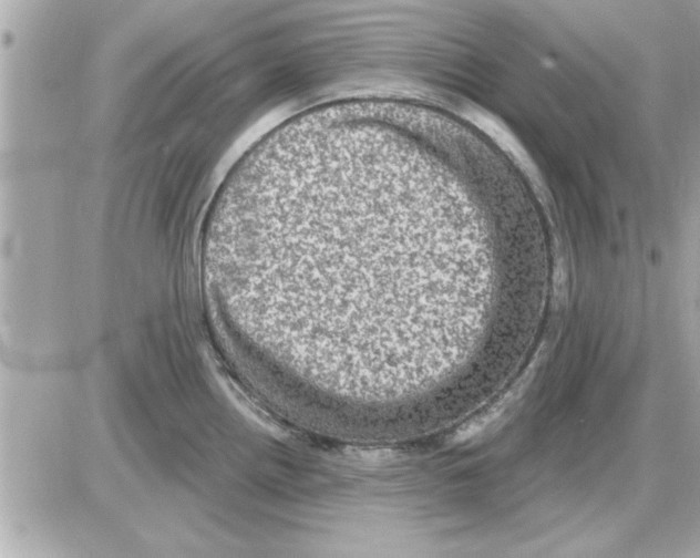 X0000085261242200704092106