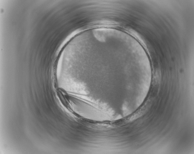 X0000085261243200704092106