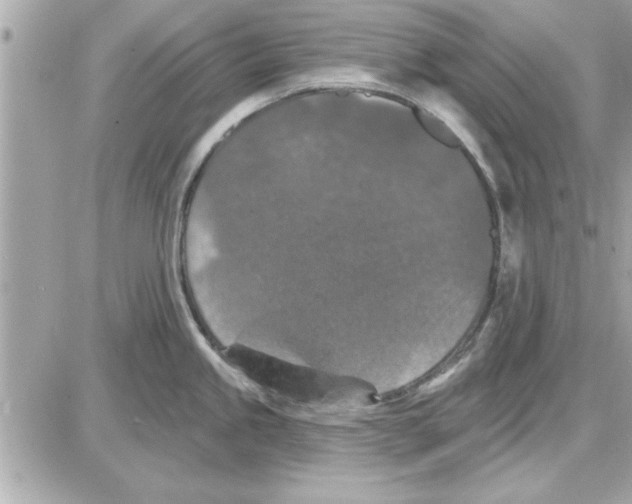 X0000085261245200704092106