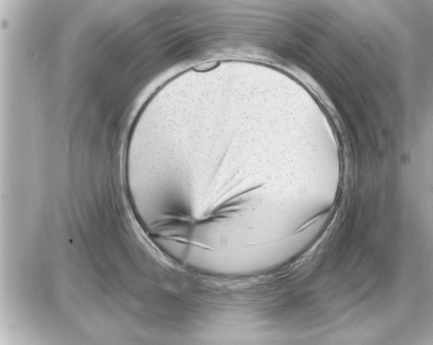 X0000085261246200704092106