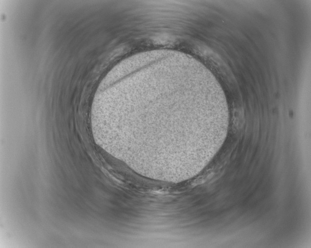 X0000085261249200704092105