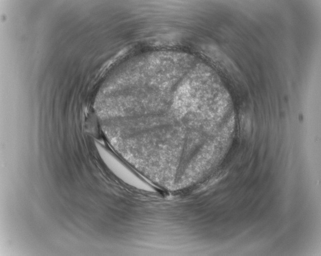 X0000085261250200704092105