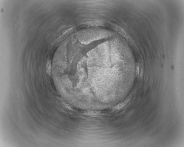 X0000085261251200704092105