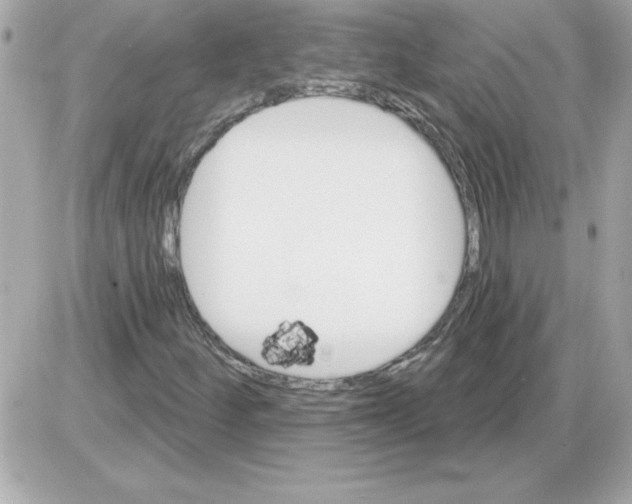 X0000085261252200704092105