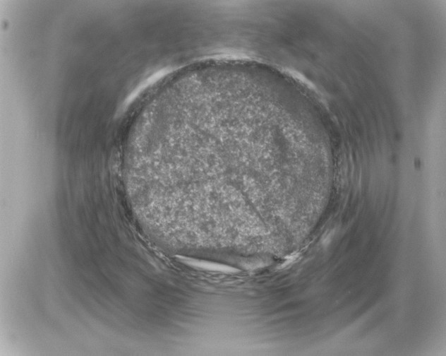 X0000085261255200704092105