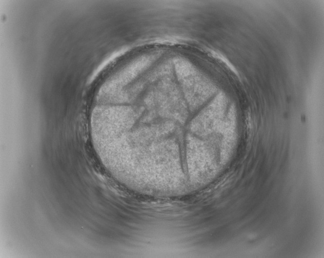 X0000085261256200704092105