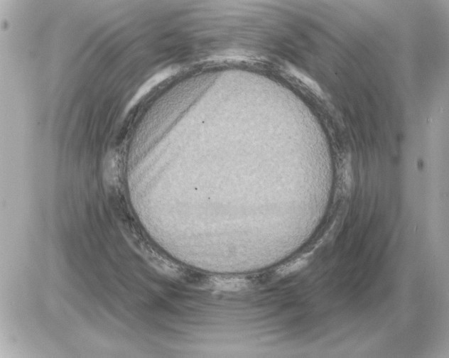 X0000085261258200704092105