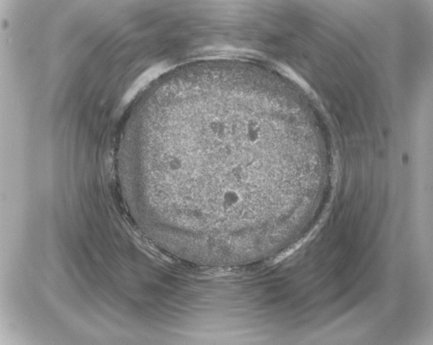 X0000085261259200704092105