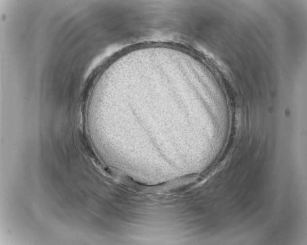 X0000085261262200704092105